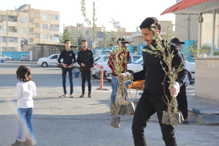 مراسم درختکاری در مسجد موسی ابن جعفر علیه السلام