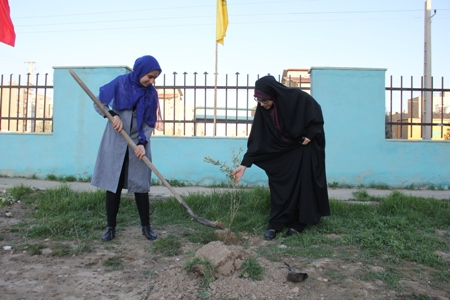 مراسم درختکاری در مسجد موسی ابن جعفر علیه السلام