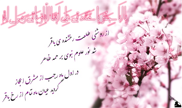 ویژنامه ولادت امام محمد باقر: عکس 20