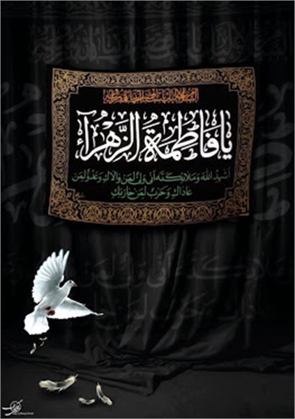 تصاویر ویژه نامه شهارت مادر 4