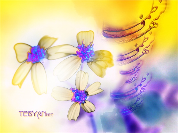 ویژنامه میلاد حضرت زهرا: عکس 11