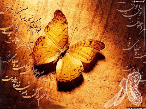 ویژنامه میلاد حضرت زهرا: عکس 22