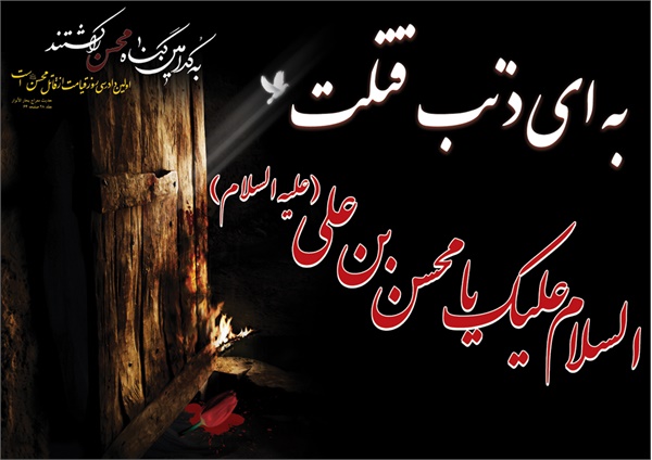 ویژه نامه  شهادت امام حسن - حضرت محسن- عکس 4