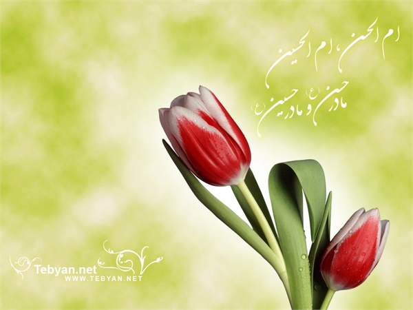 ویژنامه میلاد حضرت زهرا: عکس 32