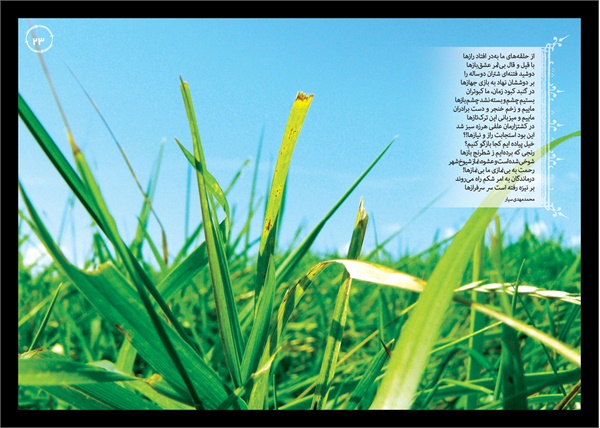 نمایشگاه راه و بیراه 14