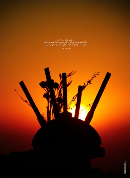 عکس دفاع مقدس 14