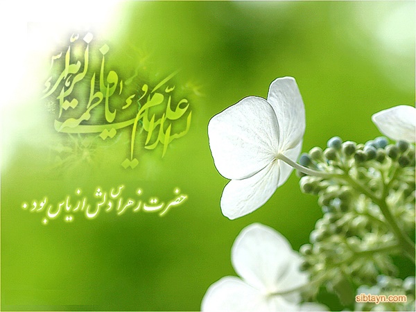 میلاد حضرت زهرا 33