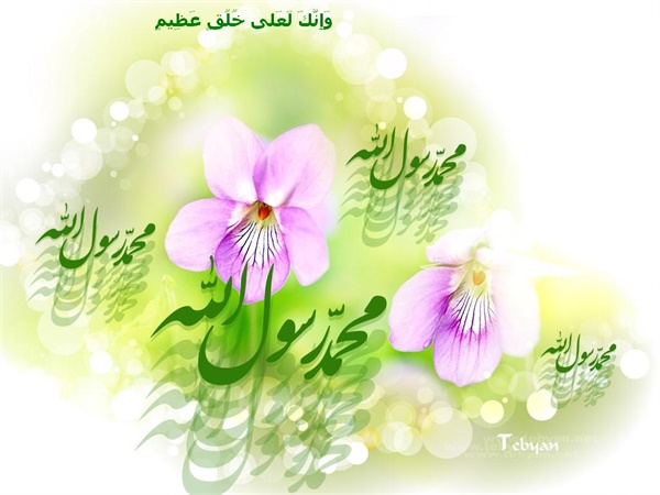 وحدت - عکس  7