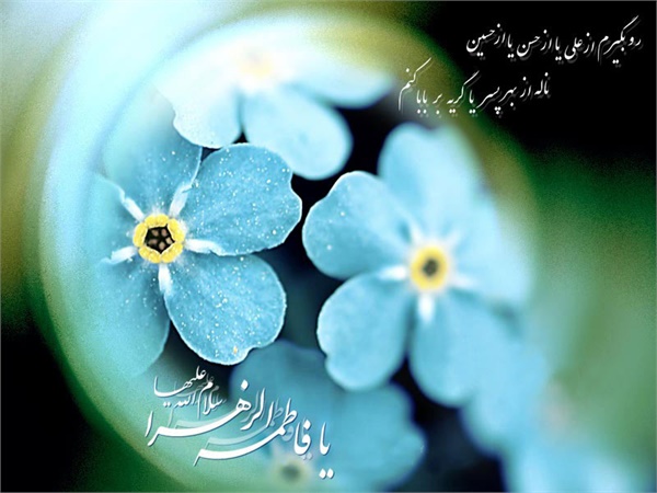 میلاد حضرت زهرا 11
