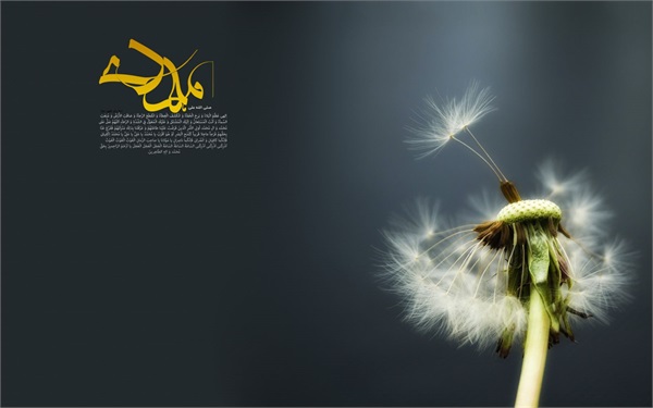 میلاد امام زمان (علیه السلام) 4