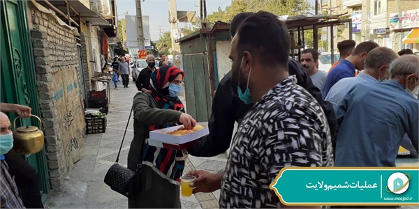 عملیات شمیم ولایت 81