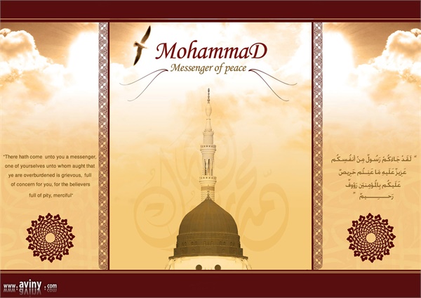 وحدت - عکس  3