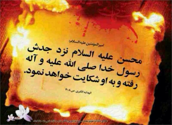 ویژه نامه  شهادت امام حسن - حضرت محسن- عکس 8