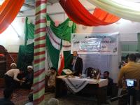 طلایی